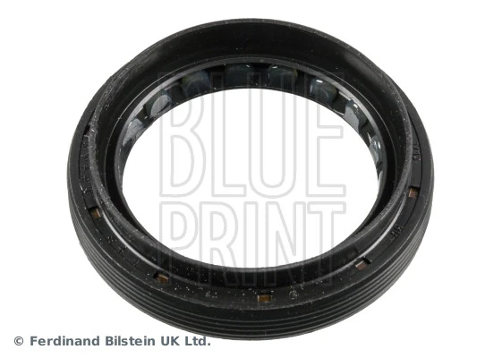 Shaft Seal, differential
